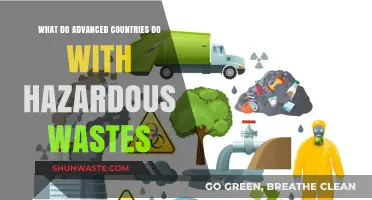 Managing Hazardous Wastes: Strategies from Advanced Countries