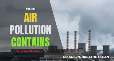 Air Pollution: What's Lurking in the Air?