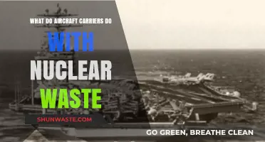 Aircraft Carriers and Nuclear Waste: Disposal, Risks, and Environmental Impact