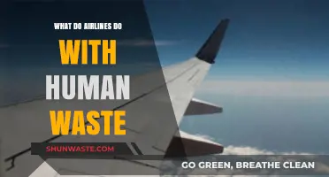 How Airlines Handle Human Waste: The Surprising Process Revealed