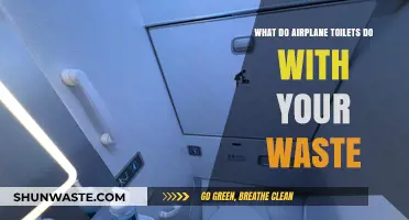 Where Does It Go? The Surprising Journey of Airplane Toilet Waste