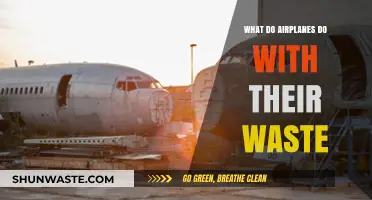 How Airplanes Manage Waste: The Surprising Journey of In-Flight Disposal