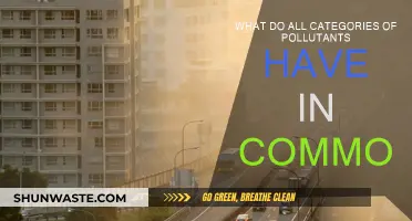 Harmful Pollutants: Common Threads in Different Categories