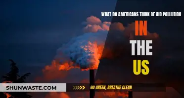 Air Pollution: Americans' Perspective on Their Country's Air Quality