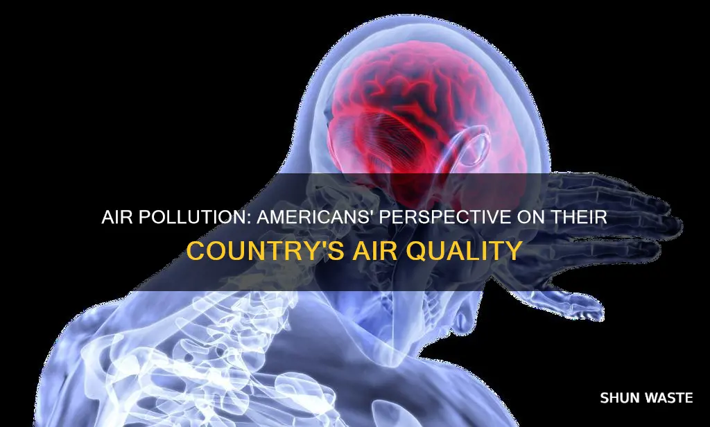what do americans think of air pollution in the us