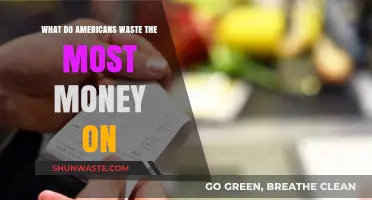 Americans' Top Financial Pitfalls: Where Money is Wasted Most