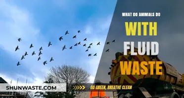 How Animals Manage and Dispose of Fluid Waste in Nature