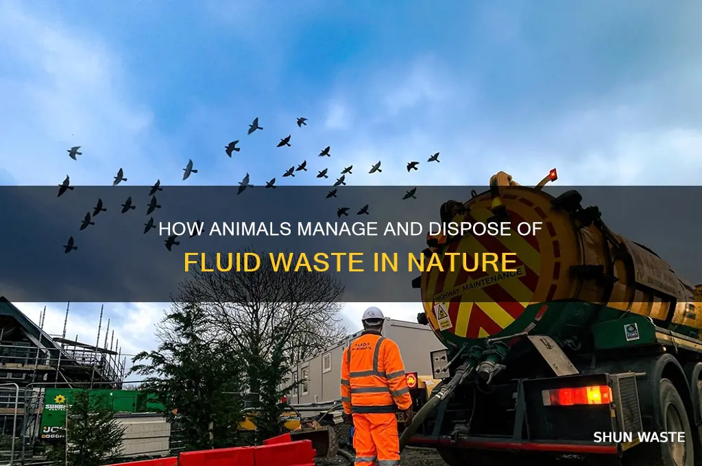 what do animals do with fluid waste