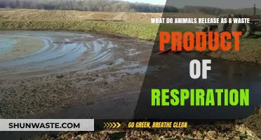 Animal Respiration Waste: Unveiling the Surprising Byproducts of Breathing