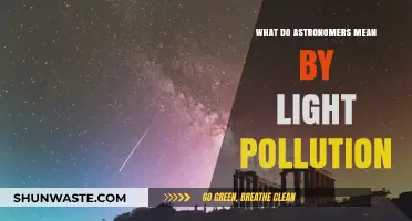 Astronomers' Light Pollution: A Dark Problem