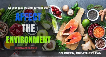 Baby Boomers' Dietary Habits: Environmental Impact and Sustainable Alternatives
