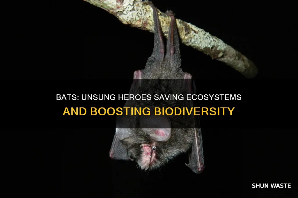what do bats do to help the environment