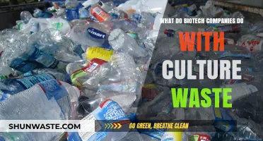 Biotech Innovations: Transforming Culture Waste into Sustainable Solutions