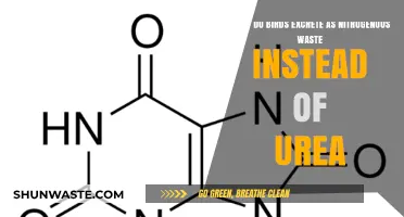 Birds' Unique Nitrogenous Waste: Unraveling the Mystery of Uric Acid