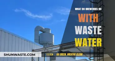Breweries' Wastewater Solutions: Sustainable Practices for Eco-Friendly Brewing