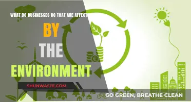 How Environmental Factors Shape Business Strategies and Operations