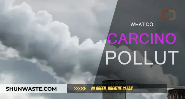 Carcinogens: Polluting Our Air, Water, and Soil