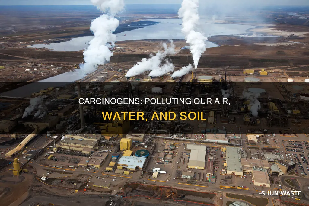 what do carcinogens pollute