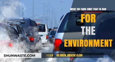 Harmful Car Emissions: Environmental Impact and Pollution Concerns Explained