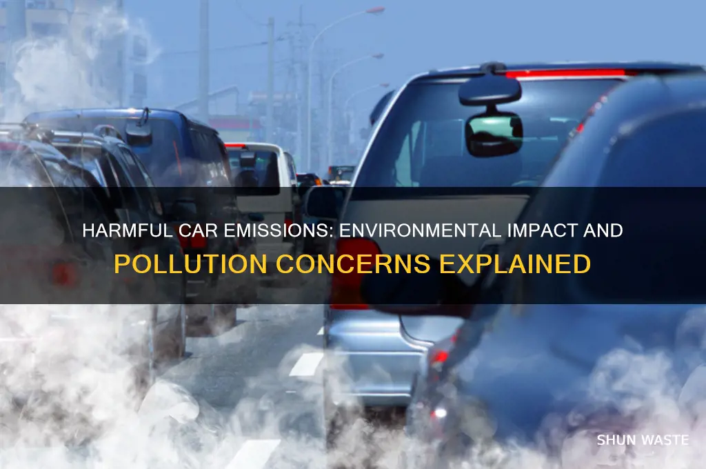 what do cars emit that is bad for the environment
