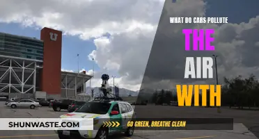 Cars: What Pollutants Are They Emitting?