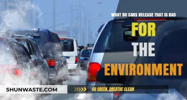 Harmful Car Emissions: Environmental Impact of Vehicle Pollutants Explained