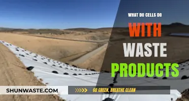 How Cells Efficiently Manage and Eliminate Waste Products