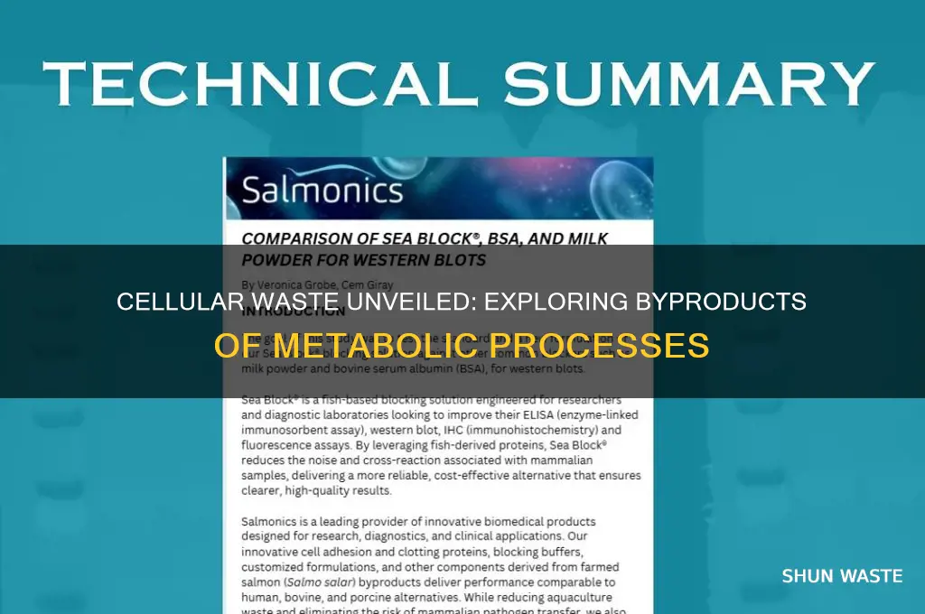 what do cells produce as waste products