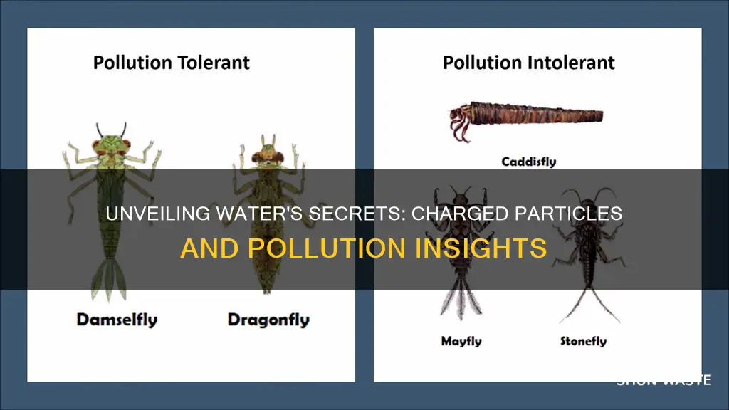 what do charged particles in polluted water tell us