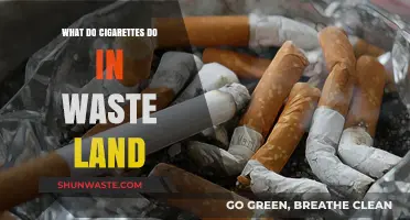 Cigarettes in the Wasteland: Environmental Impact and Long-Term Effects