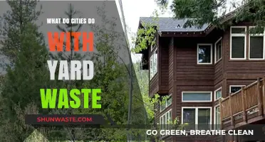 How Cities Transform Yard Waste into Sustainable Solutions