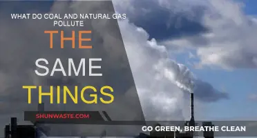 Fossil Fuels: Coal and Gas Pollute Alike
