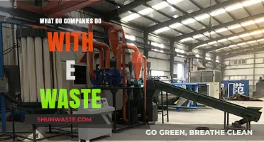 How Companies Handle E-Waste: Recycling, Refurbishing, and Responsible Disposal