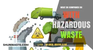 Managing Hazardous Waste: A Guide to Responsible Corporate Practices