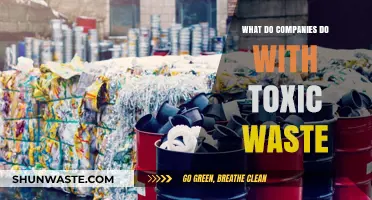 How Companies Manage and Dispose of Toxic Waste Responsibly