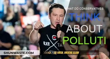 Conservatives' Take on Pollution: A Complex Issue