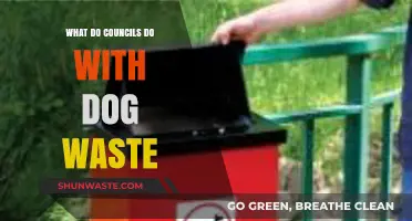 How Councils Handle Dog Waste: Collection, Disposal, and Environmental Impact