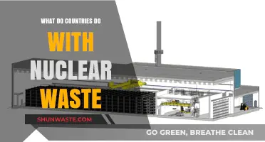 Managing Nuclear Waste: Global Strategies for Safe Disposal and Storage