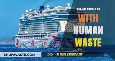 Cruise Ship Waste Management: How Human Waste is Handled at Sea