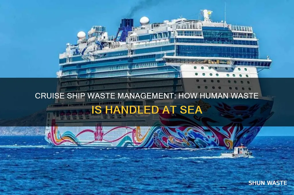 what do cruises do with human waste