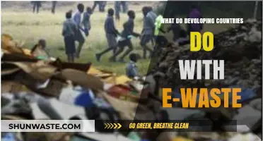E-Waste Crisis: How Developing Nations Handle Digital Discards