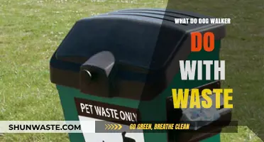 Dog Walkers' Waste Management: Responsibilities and Eco-Friendly Practices