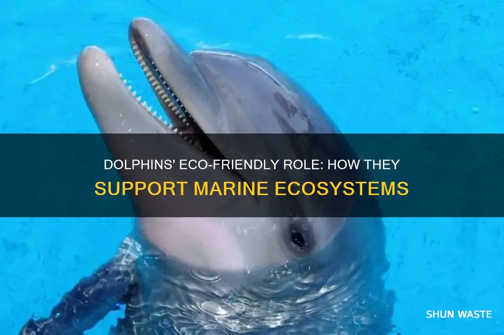 what do dolphins do to help the environment