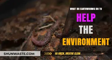 Earthworms: Unseen Heroes Boosting Soil Health and Ecosystems