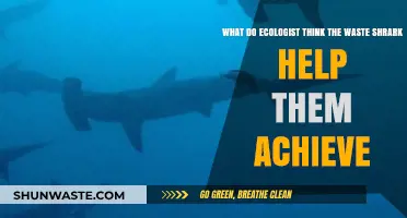 How Waste Sharks Aid Ecologists in Achieving Sustainable Water Management Goals