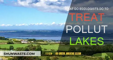Restoring Nature's Balance: Treating Polluted Lakes