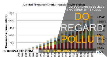 Economists' Prescription for Pollution: Government's Role