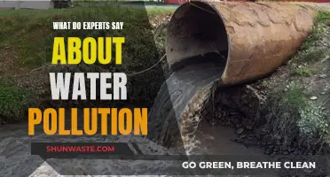 Water Pollution: Expert Insights and Solutions