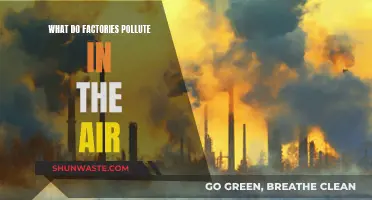 Air Pollution: What Factories Emit and How it Affects Us