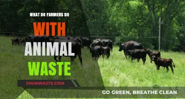Managing Animal Waste: Sustainable Practices for Farmers and the Environment